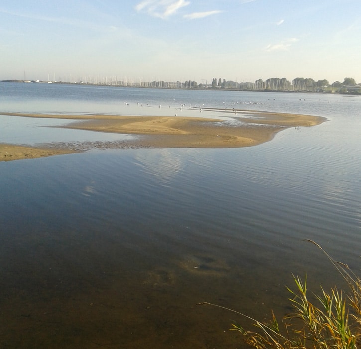 Rustig water bij Andijk aan het IJsselmeer